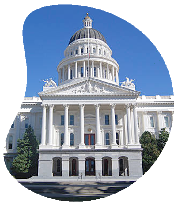 The Digital Services Group